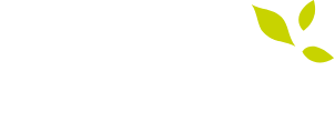 logo crescendo